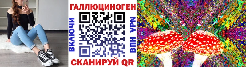 Псилоцибиновые грибы Cubensis  где можно купить наркотик  Нижний Новгород 