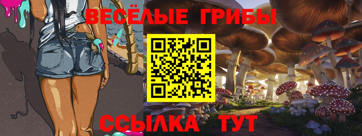 Псилоцибиновые грибы прущие грибы Нижний Новгород