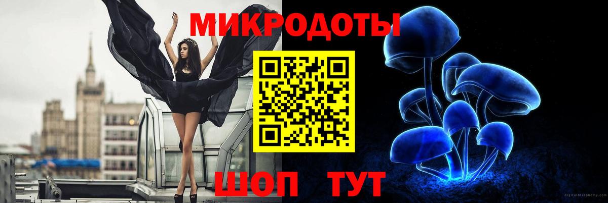 закладка  Псилоцибиновые грибы MAGIC MUSHROOMS  Нижний Новгород  Вход с VPN  Галлюциногенные грибы Psilocybine cubensis 